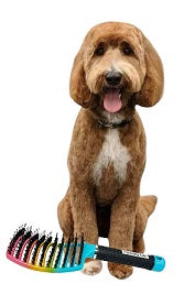 Pawfectly Calm FurBrush & Slicker Brush BUNDLE