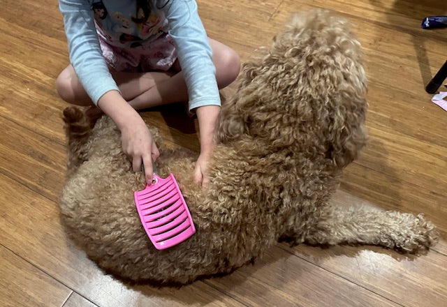 Pawfectly Calm FurBrush