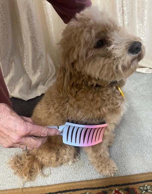 Pawfectly Calm FurBrush