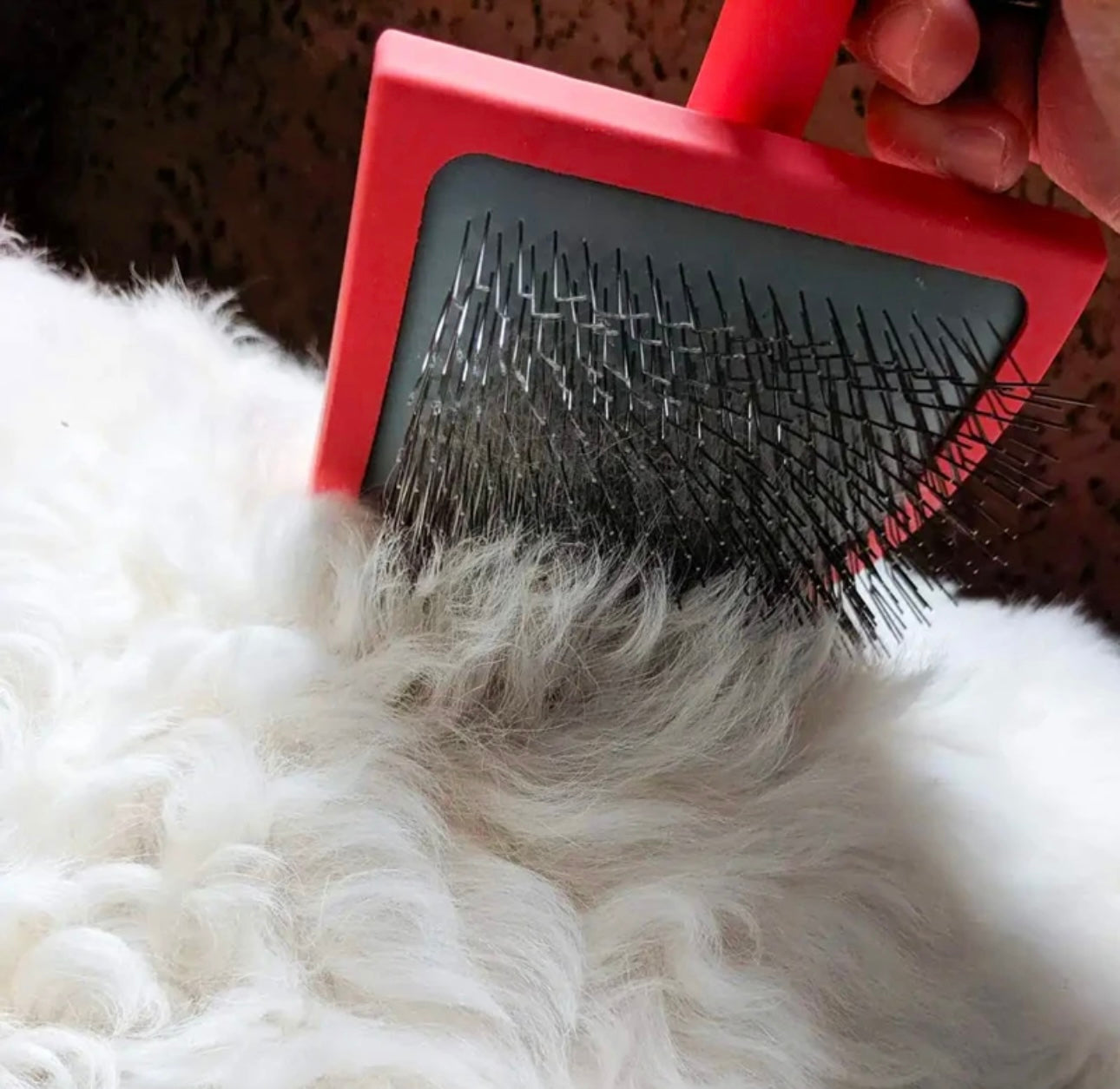 Pawfectly Calm Slicker Brush