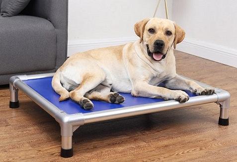 Mighti Ruff Indestructible Elevated Pet Bed